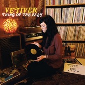 Vetiver - Hurry On Sundown