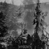 The Shadows artwork