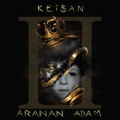 Aranan Adam 2 artwork