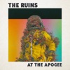 At the Apogee - Single