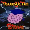 Through the Storm album lyrics, reviews, download