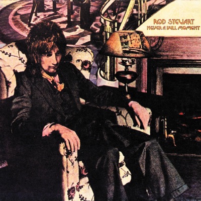 Never a Dull Moment - Rod Stewart