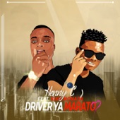 Driver Ya Marato (feat. King Monada) artwork