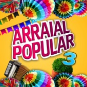 Arraial Popular, Vol. 3 artwork