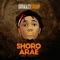 Shoro Arae - SunkkeySnoop lyrics
