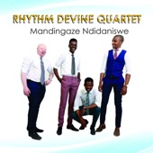 Mandingaze Ndidaniswe artwork