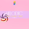 Melodic House & Techno Candies, Vol. 8