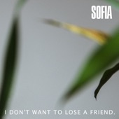 I Don't Want to Lose a Friend artwork