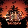 La Junta Vallenata - Ritmo De Colombia