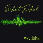 #Evdekal artwork