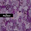 Planted - Single