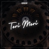 Teri Meri artwork