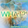 What?! - Single