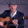Polonez A-dur Op. 40 Nr 1 - Single