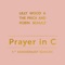 Prayer in C (Robin Schulz Radio Edit) cover