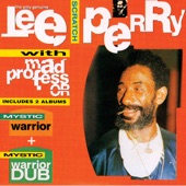 Mad Professor & Lee Perry - Dub Those Crazy Baldheads