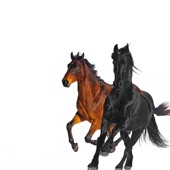 Old Town Road (feat. Billy Ray Cyrus) [Remix] artwork