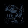 Shield, Robytek & Sal P - Fools