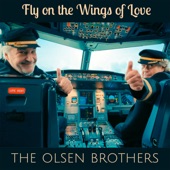 Fly on the Wings of Love artwork