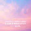 A Cor É Rosa (Remix) [feat. Silva] - Single album lyrics, reviews, download