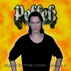 Covers, Vol. 17 by PelleK album reviews, ratings, credits