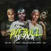 Stream & download Os Pitbull de Raça (feat. MC KF) - Single