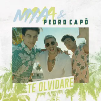 Te Olvidaré - Single by MYA & Pedro Capó album reviews, ratings, credits