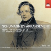 R. Schumann: Album for the Young, Op. 68 (Arr. A. Karttunen for String Trio) artwork