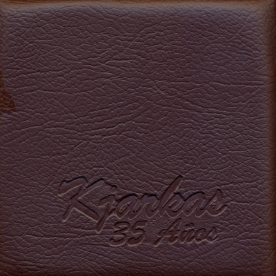 35 Años - Los Kjarkas
