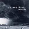 Dave Plaehn - Need a Woman