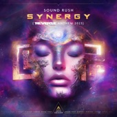 Synergy (Reverze Anthem 2023) [Extended Mix] artwork