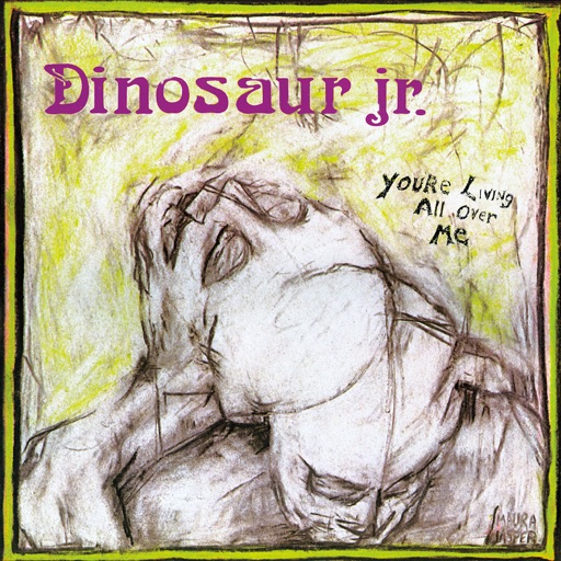 Dinosaur Jr. - You
