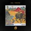 Carlo - Perfect Plan