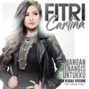 Jangan Menangis Untukku (EDM Reggae Version) - Single