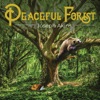 Peaceful Forest - Single