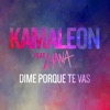 Dime Porque Te Vas (feat. Lyana) - Single