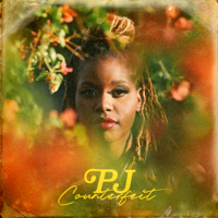 PJ - Counterfeit artwork