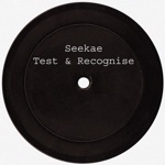 Seekae - Test & Recognise