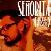 Señorita (Metal Version) - Single album lyrics, reviews, download