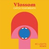 Catch Your Breath (KC Lights Remix) - Single