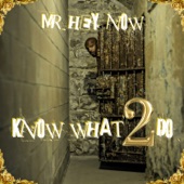 Know What 2 Do artwork