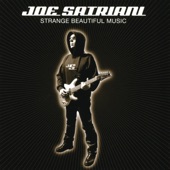 Joe Satriani - Chords of Life