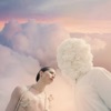 Magnolia - Single