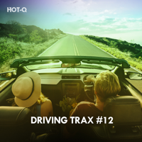 Hot-Q - Driving Trax, Vol. 12 artwork