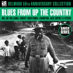 Big Joe Williams - 49 Highway Blues