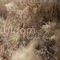 Bloom - Jacob Pavek lyrics