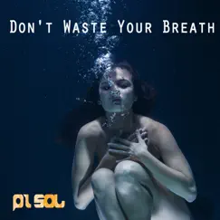 Don't Waste Your Breath (feat. Romero) - Single by Pi Sol album reviews, ratings, credits