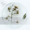 Life Circle - Single