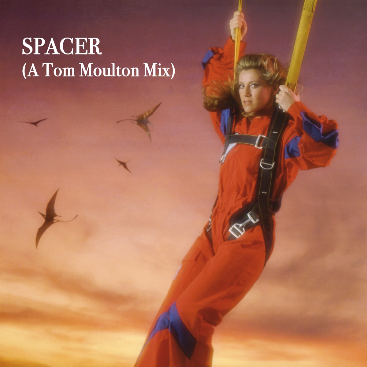 ‎spacer A Tom Moulton Mix Single De Sheila And B Devotion Na Apple Music 