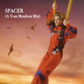 Spacer (A Tom Moulton Mix) artwork